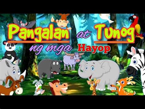 Filipino Animal Sounds (Tunog Ng Mga Hayop) .